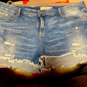 Torrid denim shorts